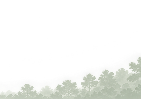 BKG%20562x393
